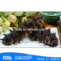 Sea salt Frozen Vegan sea Cucumber with rich nutrition